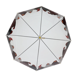 Umbrella - Transparent Chickens