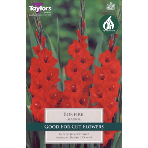 Bright red Gladioli Bonfire flower spikes against green foliage on seed packet packaging.