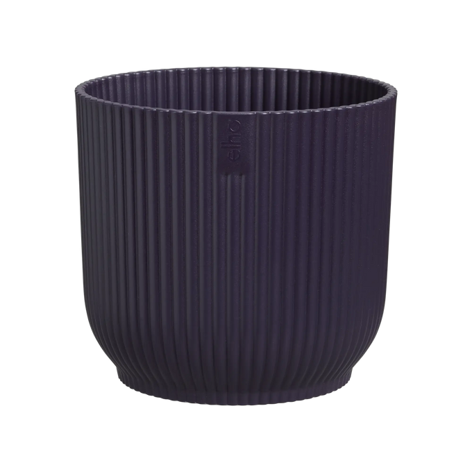 The Winery Collection Deep Purple Keans Claremorris