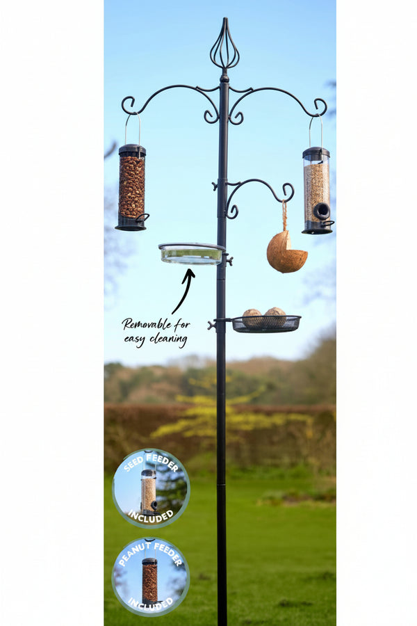Tom Chambers Gala Bird Feeding Station Keans Claremorris