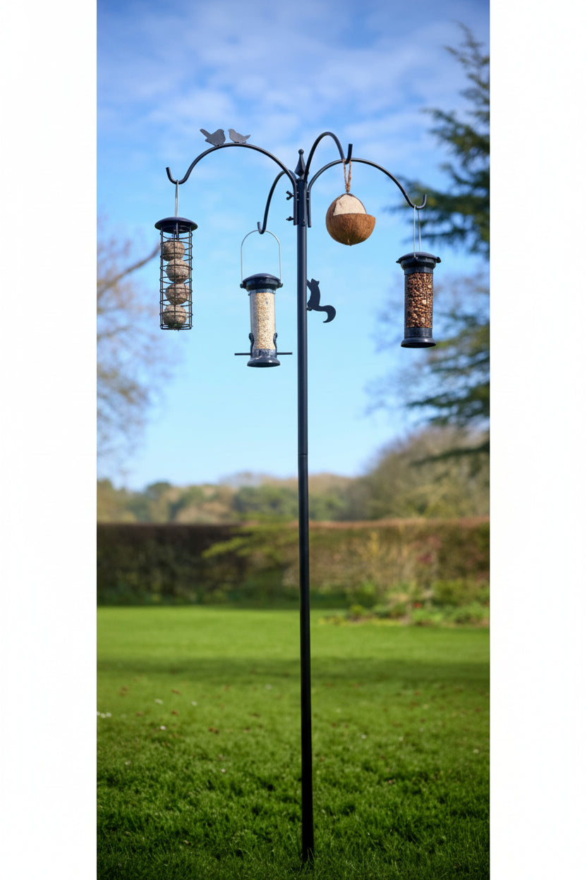 Tom Chambers Glade Bird Feeding Station Keans Claremorris