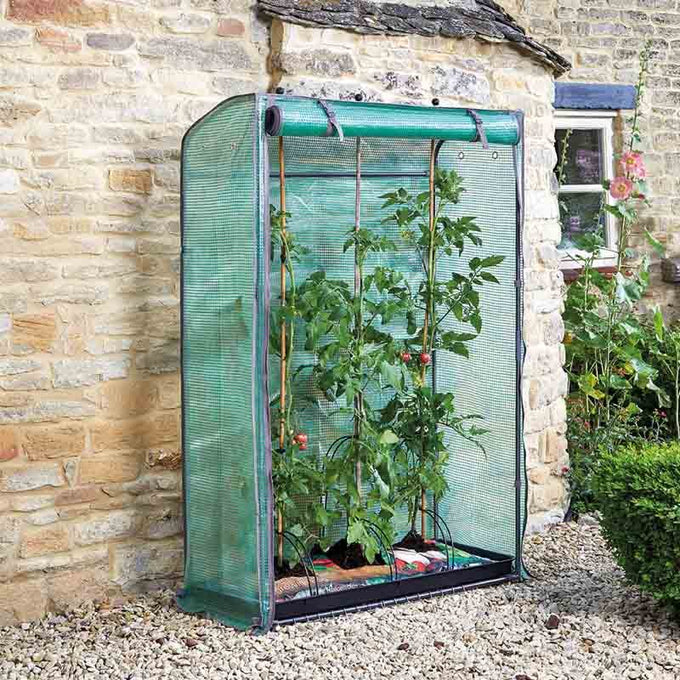 Tomato GroZone Keans Claremorris