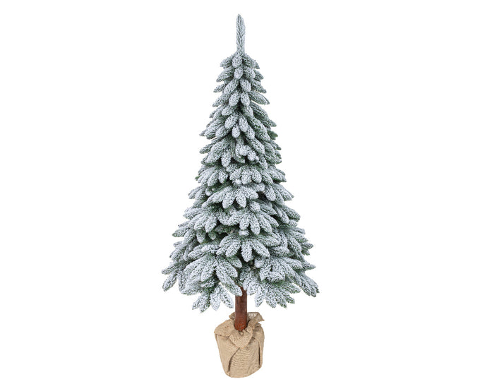 Tora pine snowy Christmas tree 240cm tall, 120cm diameter, FSC 100% certified – Keans Claremorris