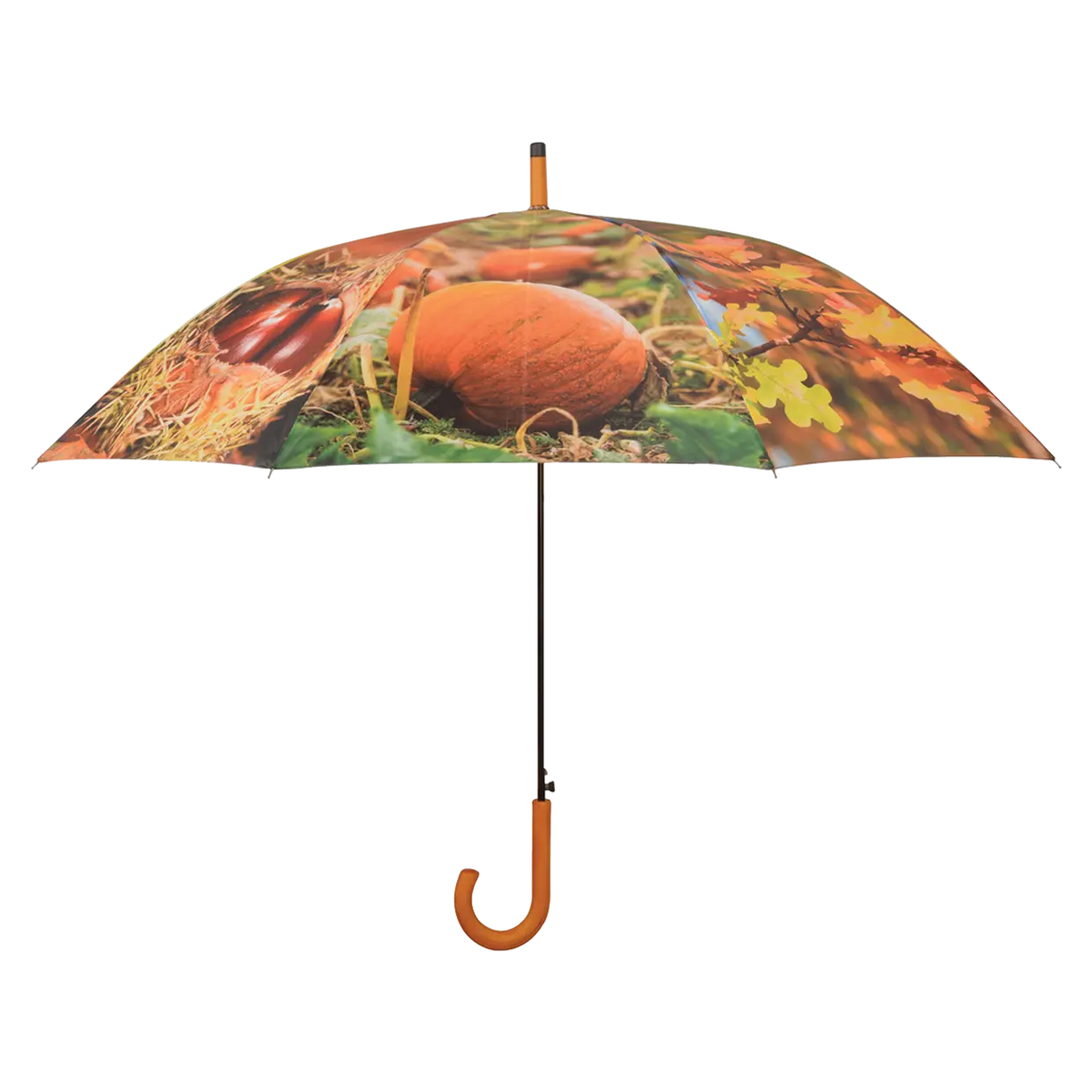 Umbrella - Autumn Keans Claremorris