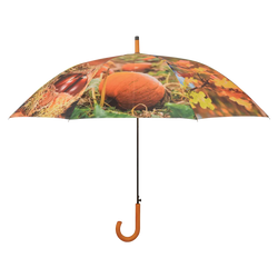 Umbrella - Autumn Keans Claremorris