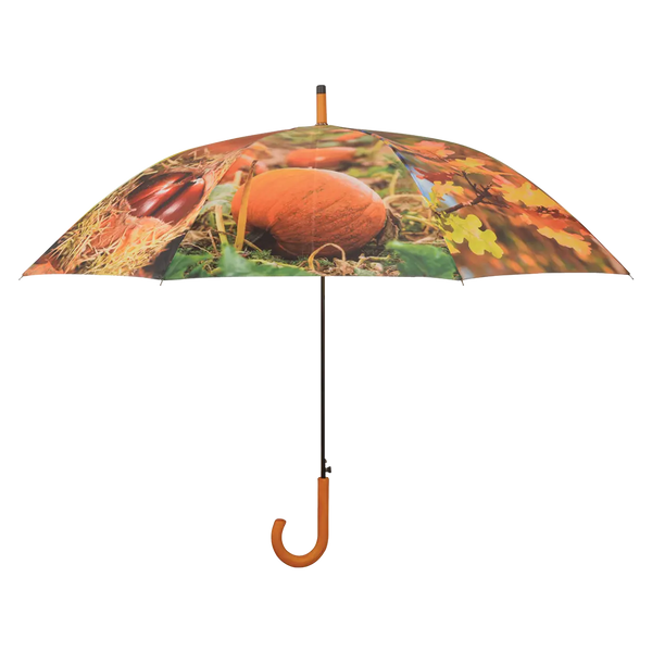 Umbrella - Autumn Keans Claremorris