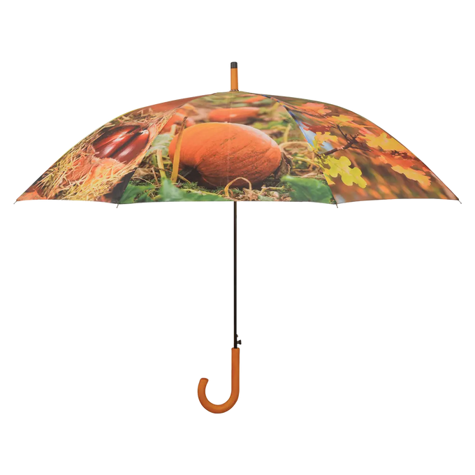 Umbrella - Autumn Keans Claremorris