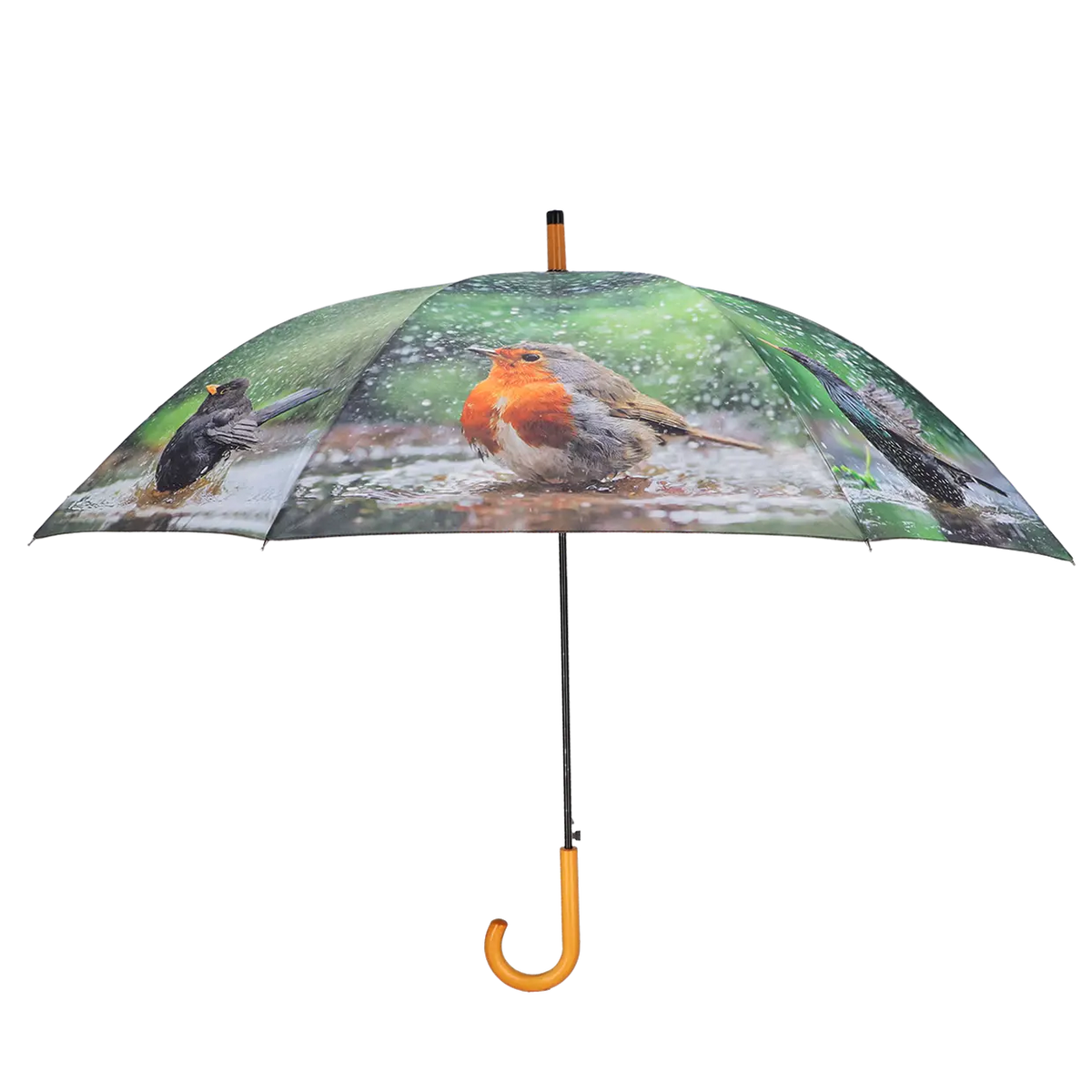Umbrella - Bathing Birds Keans Claremorris