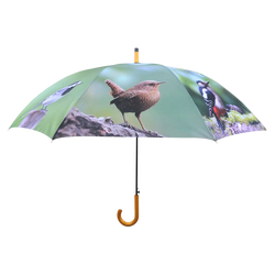 Umbrella - Birds Keans Claremorris
