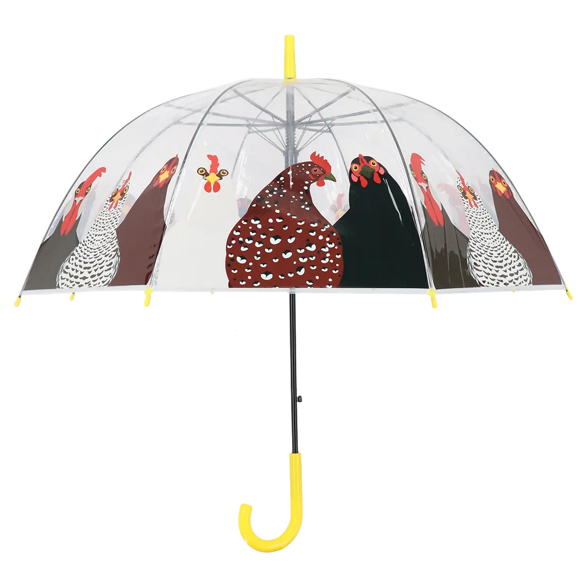 Umbrella - Transparent Chickens  Keans Claremorris