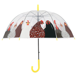 Umbrella - Transparent Chickens  Keans Claremorris