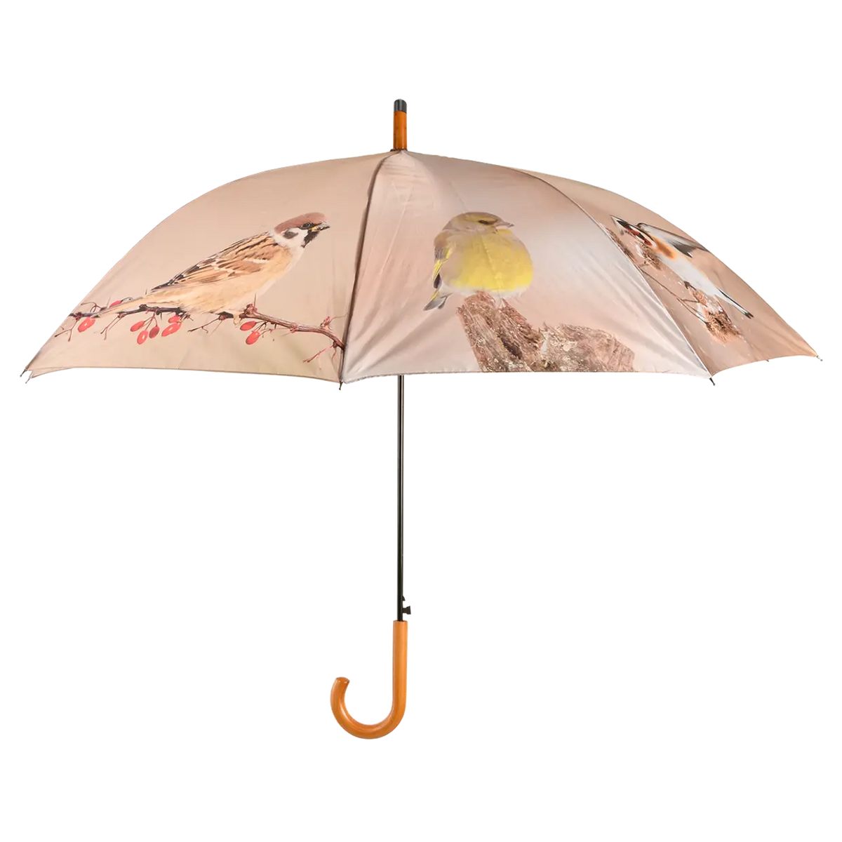 Umbrella - Winter Birds Keans Claremorris