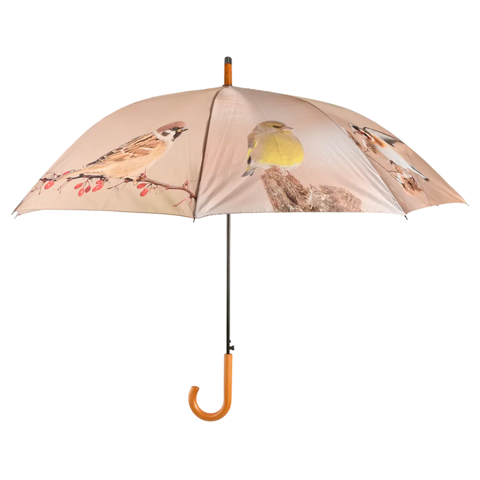 Umbrella - Winter Birds Keans Claremorris