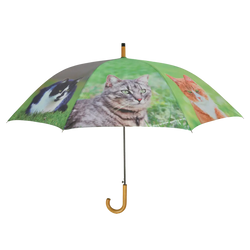 Umbrella - with Cats Keans Claremorris