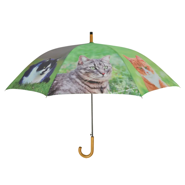 Umbrella - with Cats Keans Claremorris