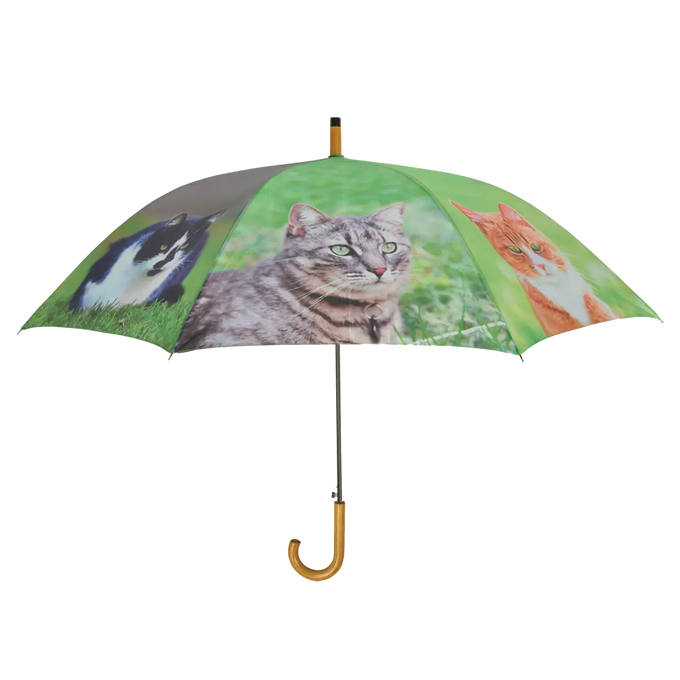 Umbrella - with Cats Keans Claremorris