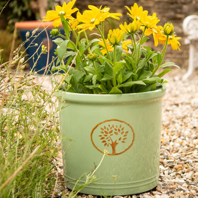 Cotswold Cylinder - Green - Image 3