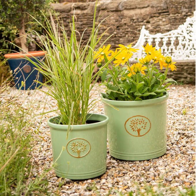 Cotswold Cylinder - Green - Image 2