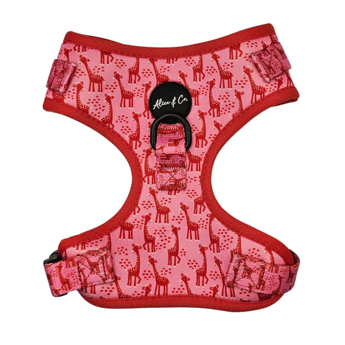 Pet harness safari design for dogs, adjustable and durable | Keans Claremorris