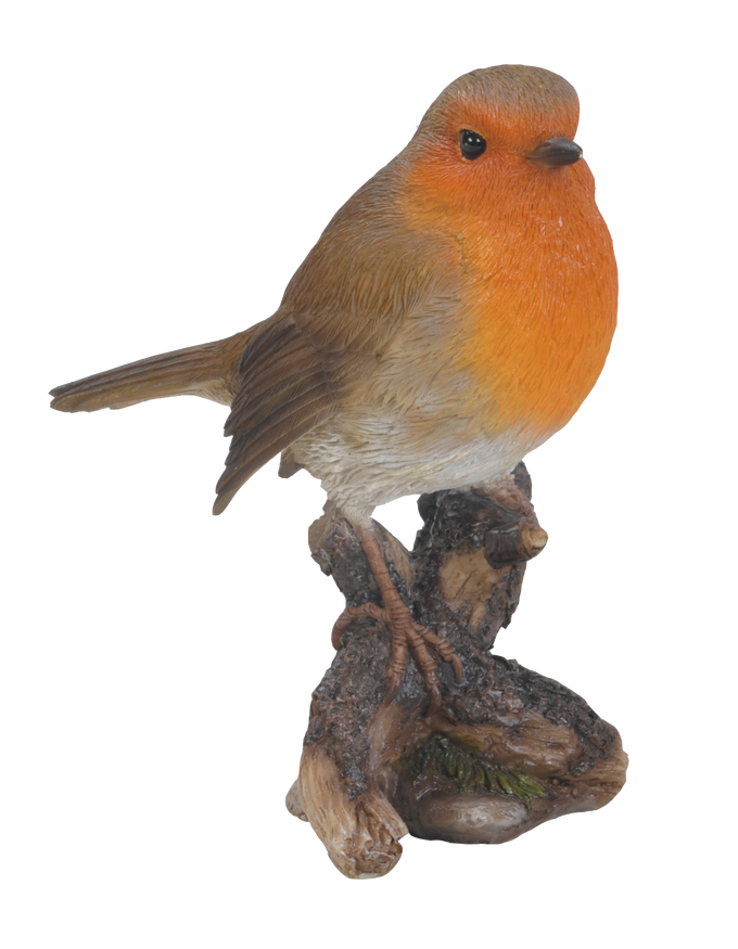 WBC Robin F Keans Claremorris