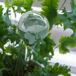 Esschert Plant Waterer Glass Globe