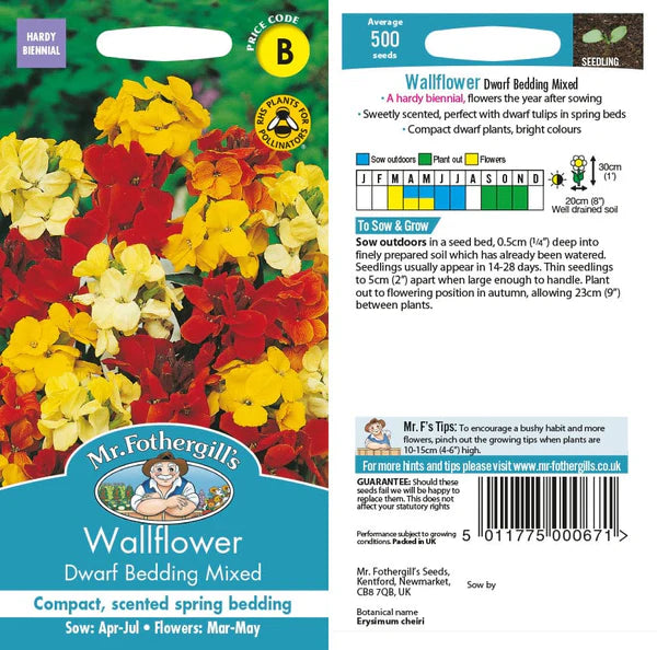 Wallflower Dwarf Bedding Mix - Image 1