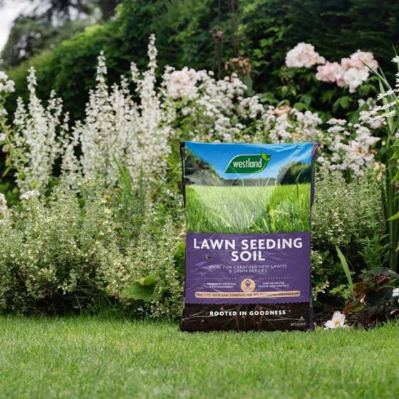 Westland Lawn Seeding Soil 30L with zinc complex for improved germination, ideal for new lawns and repairs – Keans