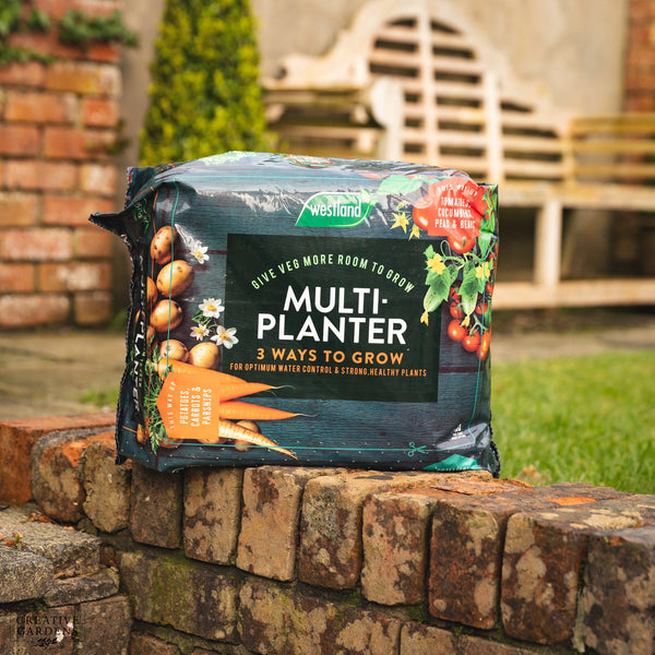 Westland Multi-Planter Peat Free - Medium Keans Claremorris