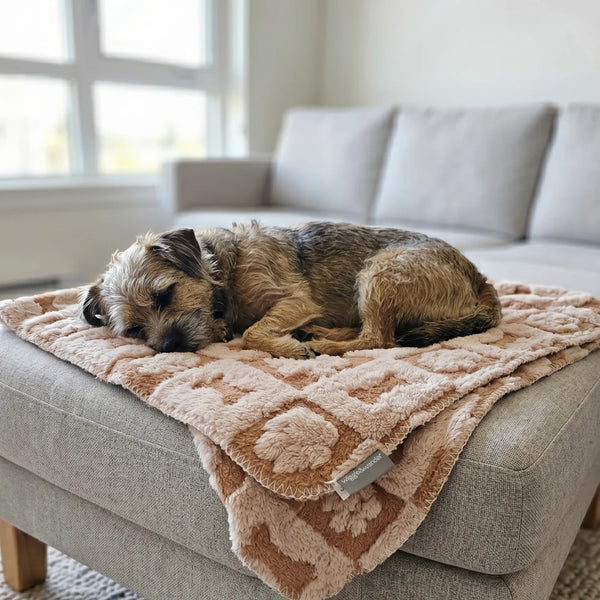 Wiggle & Wander - Blanket - Pink 100x70cm Keans Claremorris