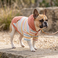 Wiggle & Wander - Dog Hoodie - Pink Keans Claremorris
