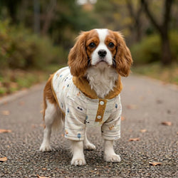 Wiggle & Wander - Dog Hoodie - Yellow Keans Clarmeorris