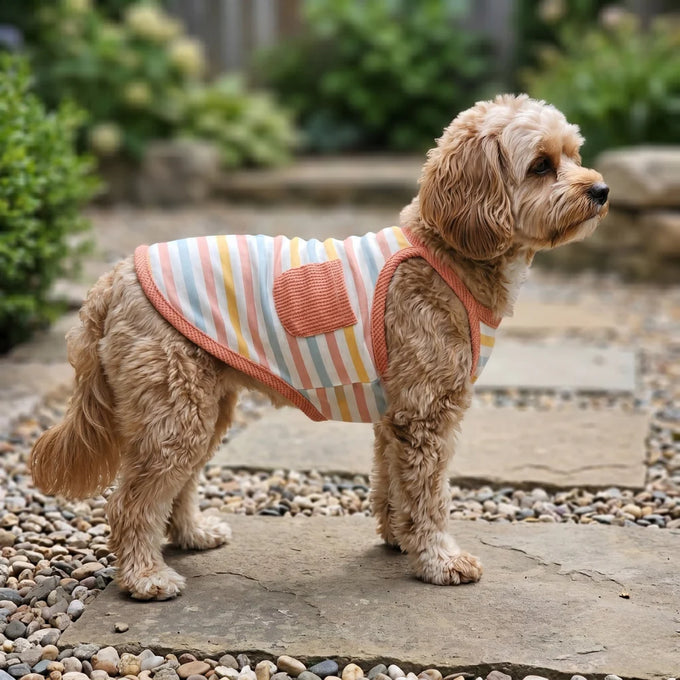 Wiggle & Wander - Dog Vest - Pink Keans Claremorris