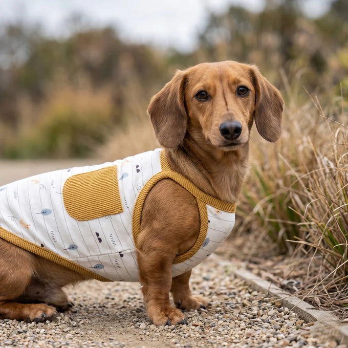 Wiggle & Wander - Dog Vest - Yellow Keans Claremorris