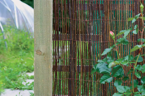 Willow Screening 4m x 2m Keans Claremorris