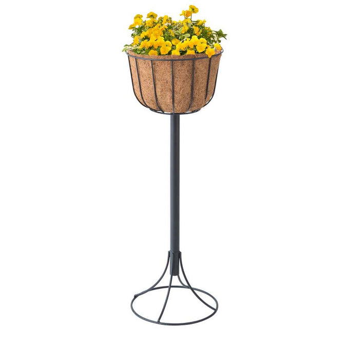 Windsor Aqua Tower Basket Stand Large in black with coconut coir liner and water reservoir, sturdy steel frame – Keans