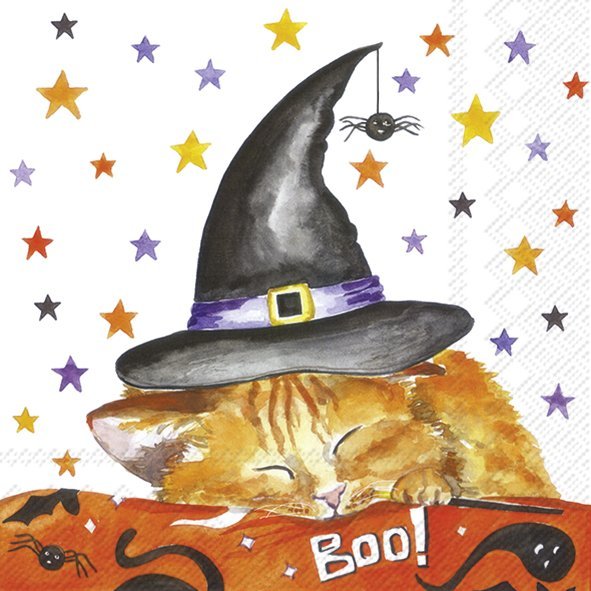 Witch'S Little Helper Cocktail Napkins Keans Claremorris