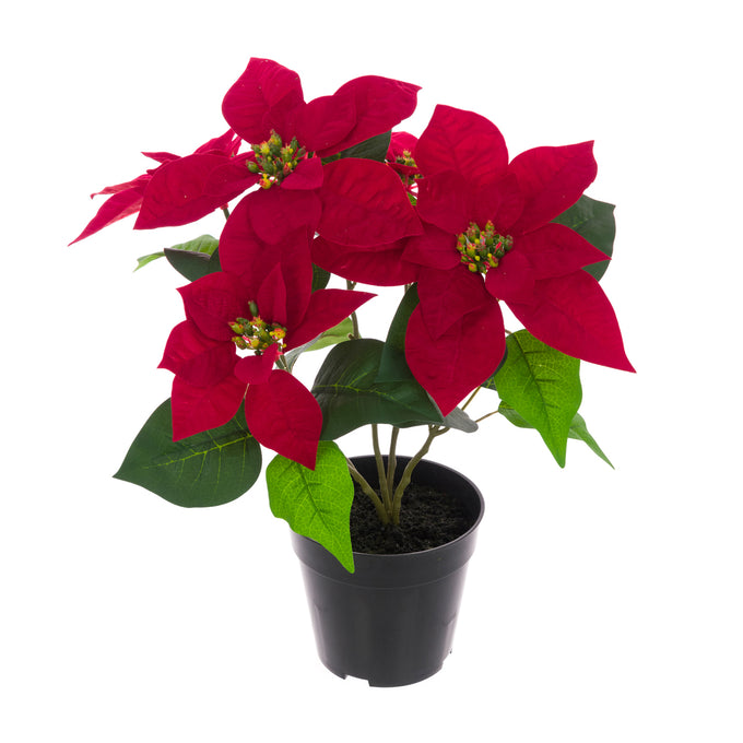 Potted Poinsettia 43cm - Image 1