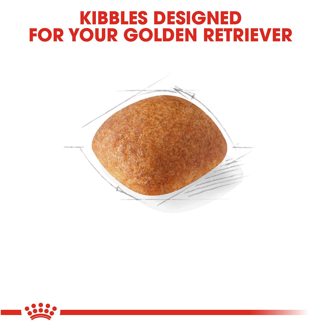 Royal Canin Golden Retriever Adult Dog Food 12kg bag available at Keans Claremorris