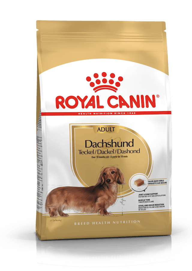 Royal Canin Dachshund Adult 7.5kg dog food for joint support, muscle tone, odor control, and dental health – Keans