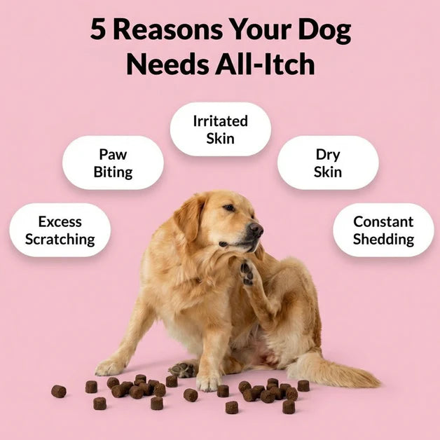 Nutri Paw All Itch & Immunity Treats for Dogs – 120 Soft Chews - Image 4