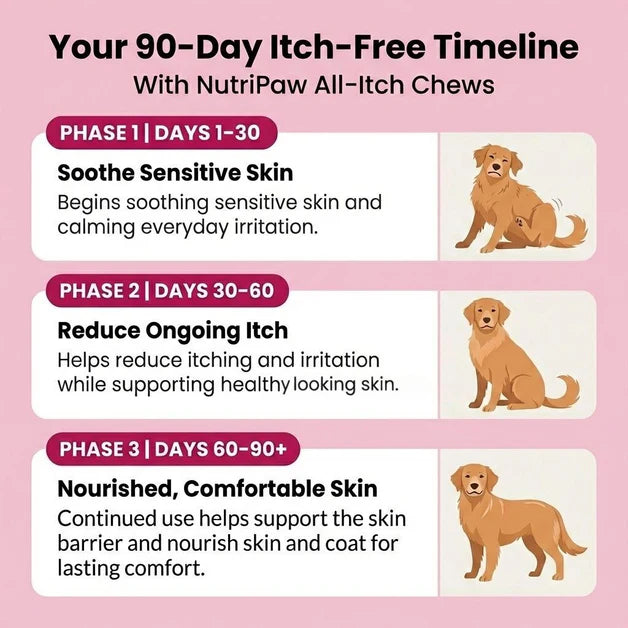 Nutri Paw All Itch & Immunity Treats for Dogs – 120 Soft Chews - Image 6