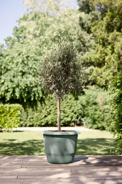 Amiga Round Pot 40cm in Thyme Green – durable garden planter by Keans Claremorris