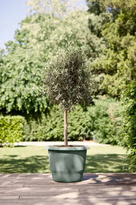 Amiga Round Pot 40cm in Thyme Green – durable garden planter by Keans Claremorris