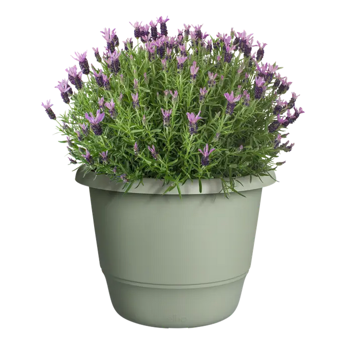 Amiga Round Pot 40cm in Thyme Green – durable garden planter by Keans Claremorris