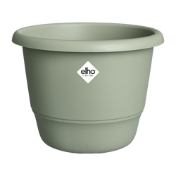 Amiga Round Thyme Green