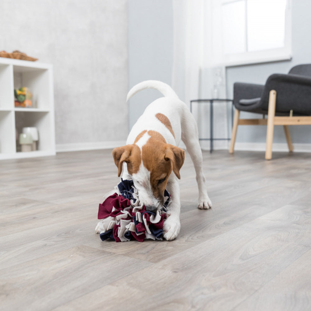 Dog Activity Sniffing Ball for pets, interactive toy to stimulate scent play – available at Keans Claremorris.