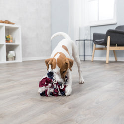 Dog Activity Sniffing Ball for pets, interactive toy to stimulate scent play – available at Keans Claremorris.