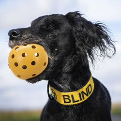 Ball with Holes 7cm, lightweight plastic toy ball, perfect for play or sensory activities - Keans Claremorris