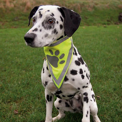Trixie Safety Neckerchief XS-S neon yellow with reflective stripes and paw prints, hook and loop fastener – Keans Claremorris