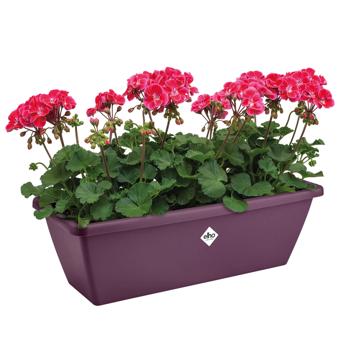 Barcelona Trough Maple Purple - Image 3